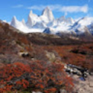 Meet your Posher, Gabrielle